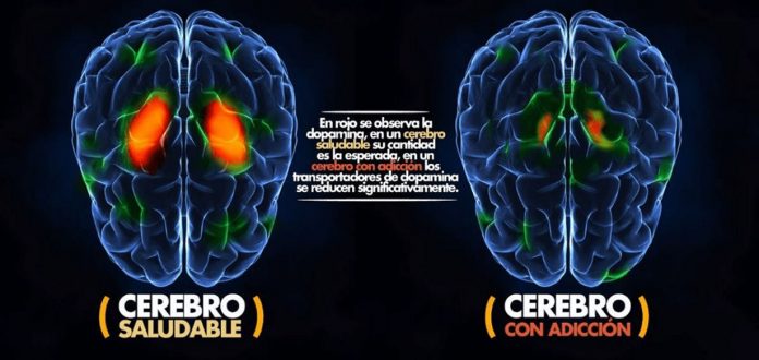 Cómo afecta al cerebro la MDMA