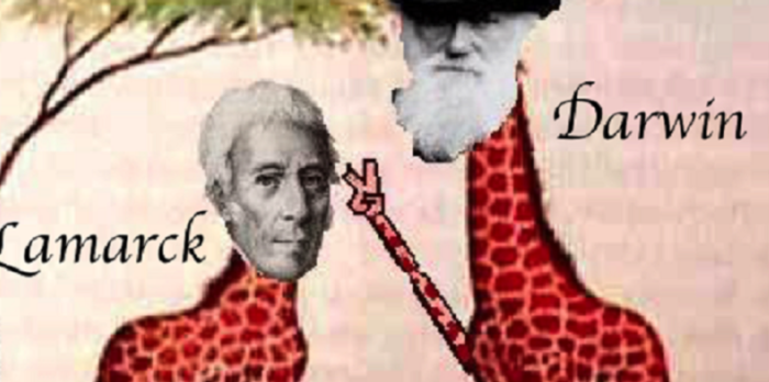 ¿Por qué las jirafas tienen el cuello tan largo? Darwin vs. Lamarck (II)