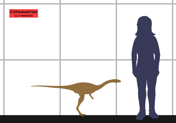 Limusaurus inextricabilis, el dinosaurio que perdía los dientes