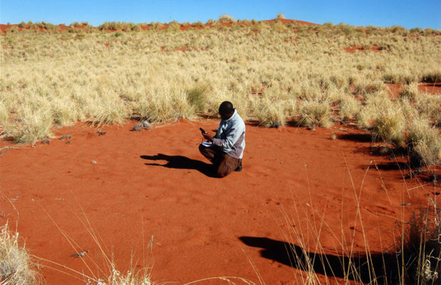 Los círculos de Namibia ya no son un misterio