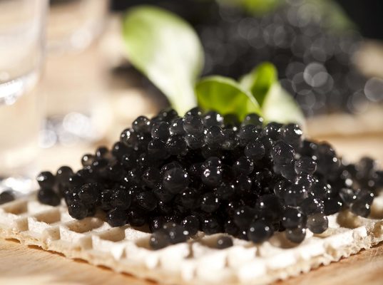 Caviar albino se vende como la delicatessen más cara del mundo