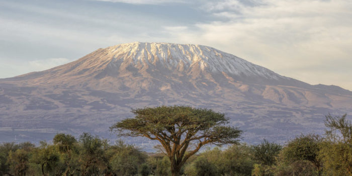 KILIMANJARO Mount e1489065624664 Merca2.es