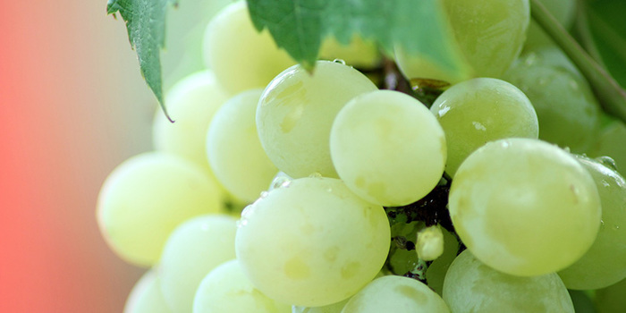 uvas Merca2.es