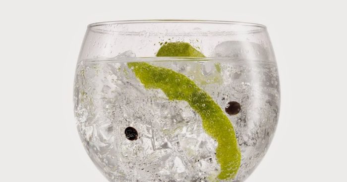 Gin Tonic perfecto