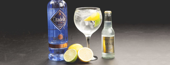 Gin Tonic perfecto