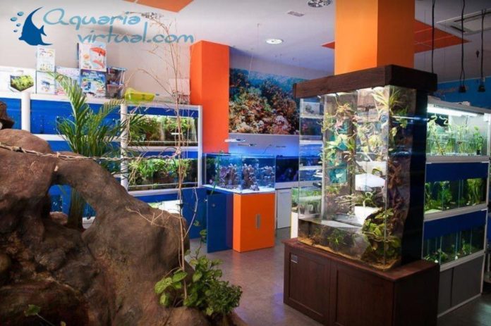 Foto de Tienda de Aquaria en Zaragoza