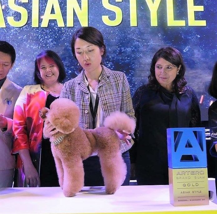 Foto de Muestra de Asian Style Grooming Show