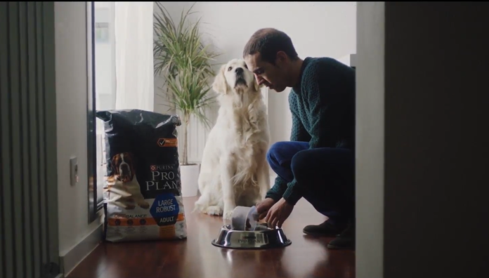 PURINA Pro Plan colabora con la Fundación ONCE del Perro Guía