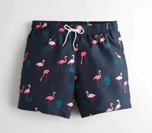 Hollister rebajas chico new arrivals