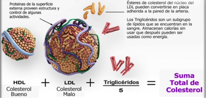 consecuencias de tener el colesterol por las nubes