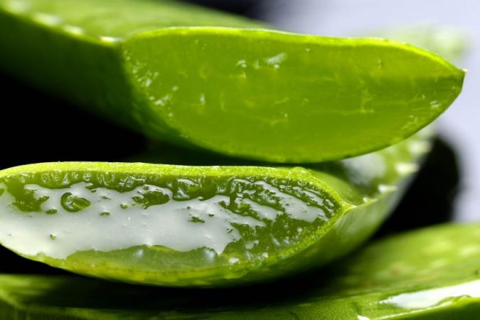 beneficios uso aloe vera