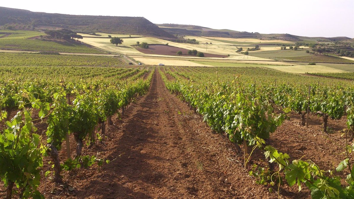 #SOSrural: el campo español víctima de nuevos ataques infundados