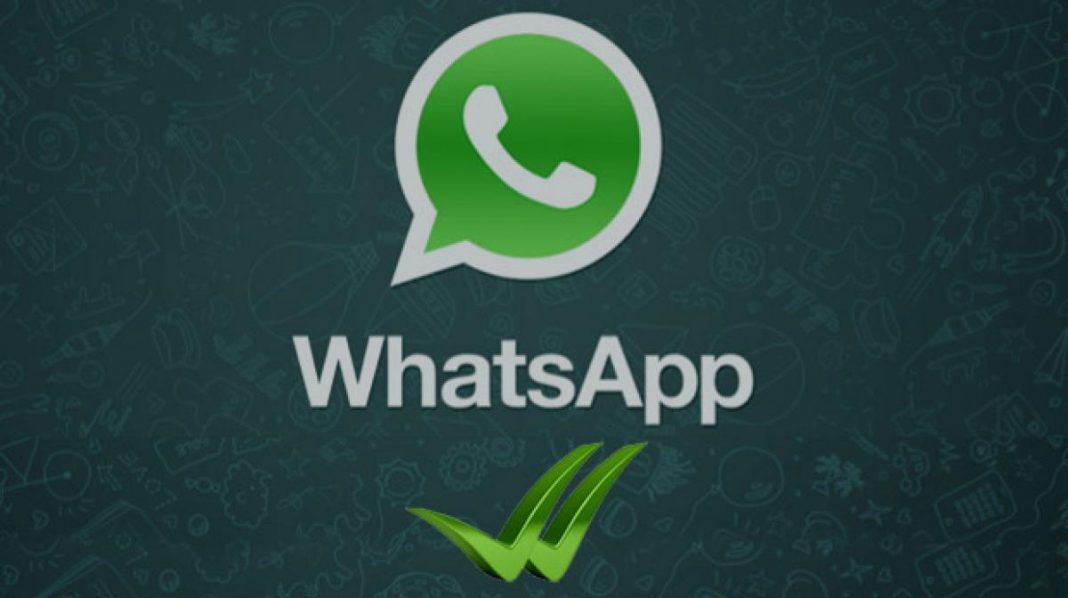 actualizacion whatsapp