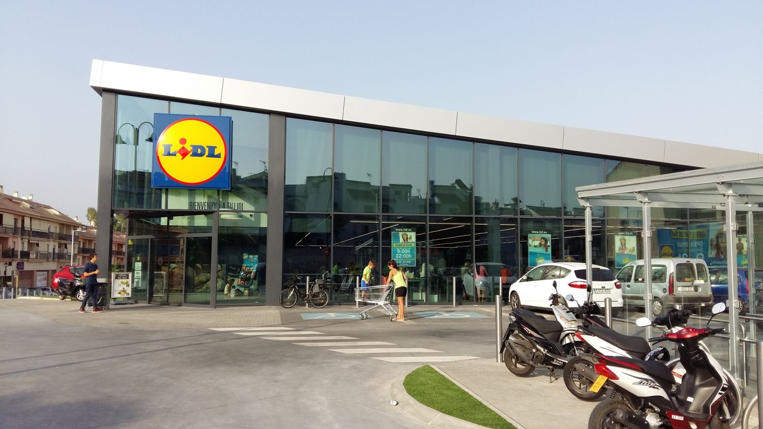 Plantas de Lidl por menos de 10 euros para decorar tu terraza