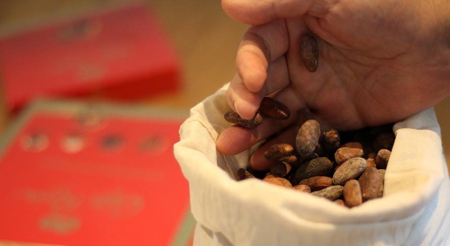 De la taza a la caldera: Nestlé revoluciona la energía con residuos de cacao y café