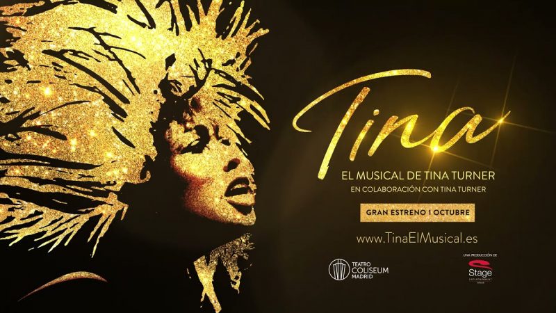 musical tina turner