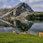 Lagos de Covadonga, un lugar paradisiaco en plenos Picos de Europa