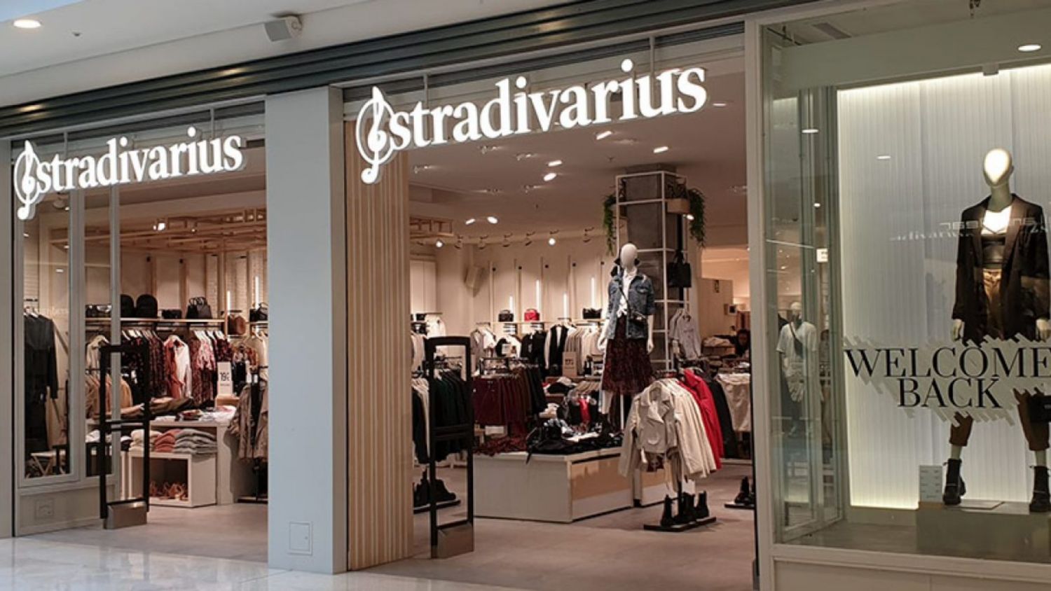 stradivarius