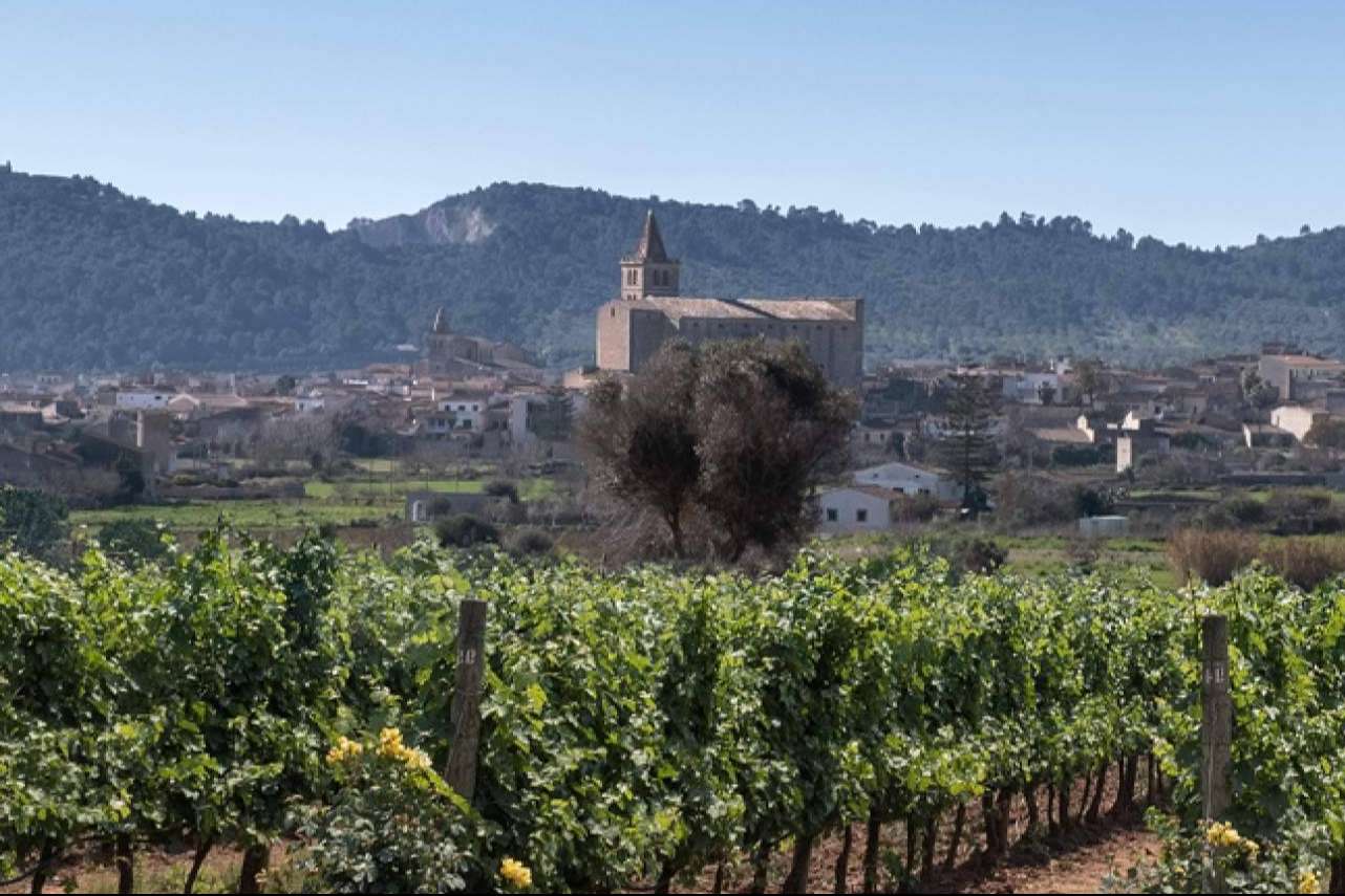 La maravillosa experiencia de disfrutar de vinos ecológicos de la mano de 3.10 Celler