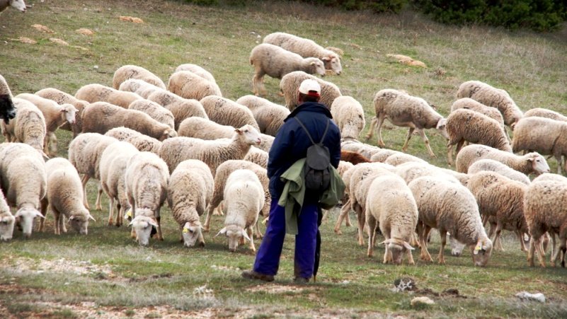 agricultura