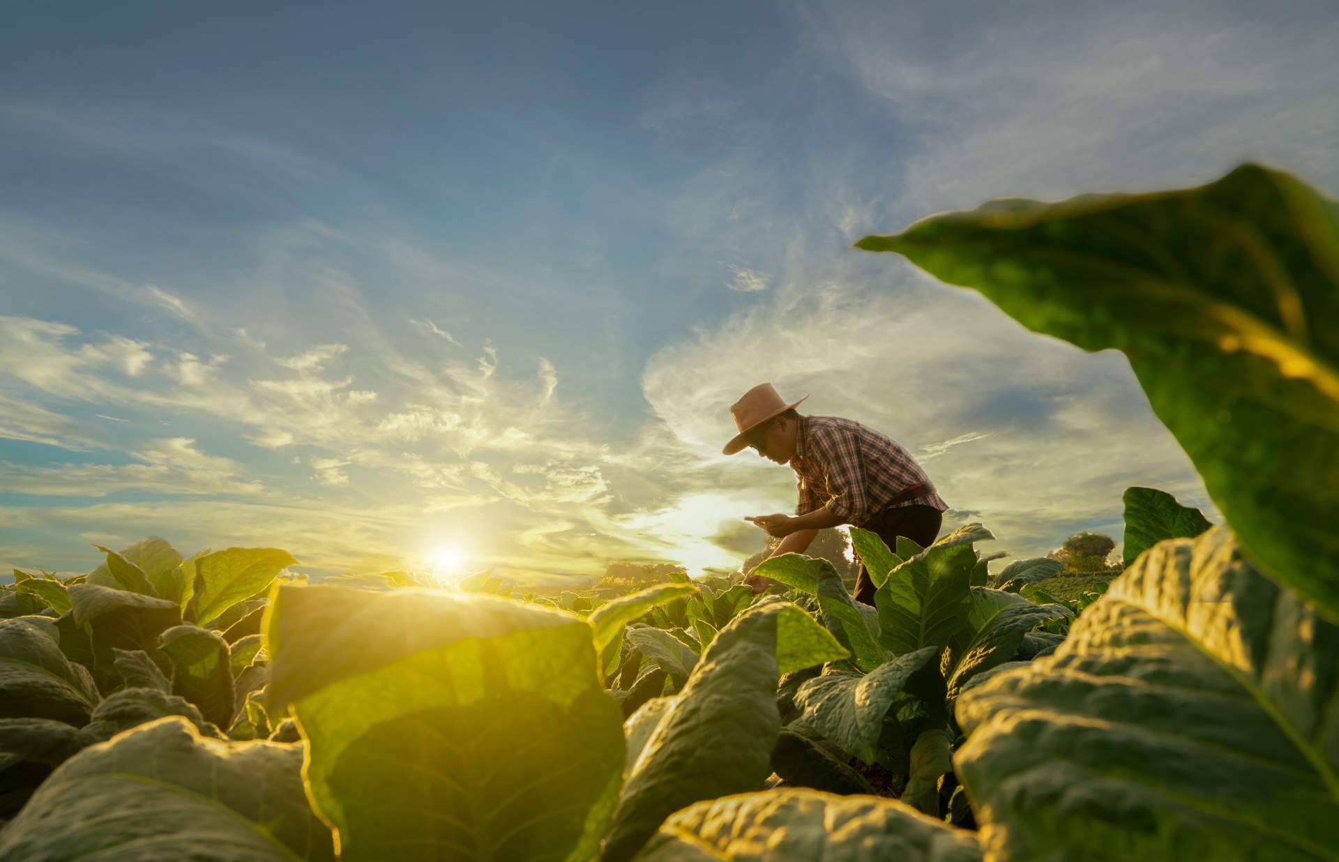 Agbar, empresa especializada en cultivos fomenta la agricultura sostenible