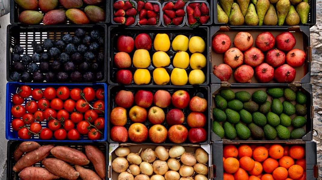 Cocinar los alimentos