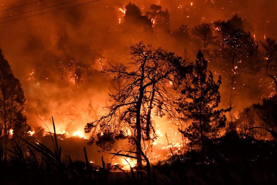 Incendio forestal