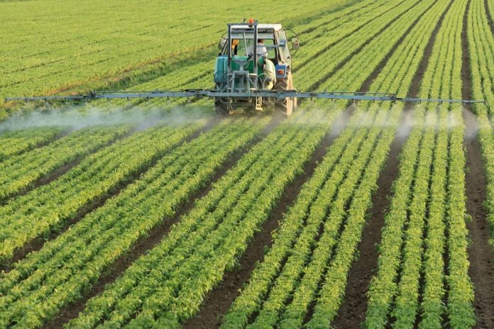 cultivos cuba agrícola