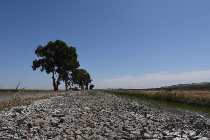 17 de junio, Día Mundial de Desertificación y la Sequía