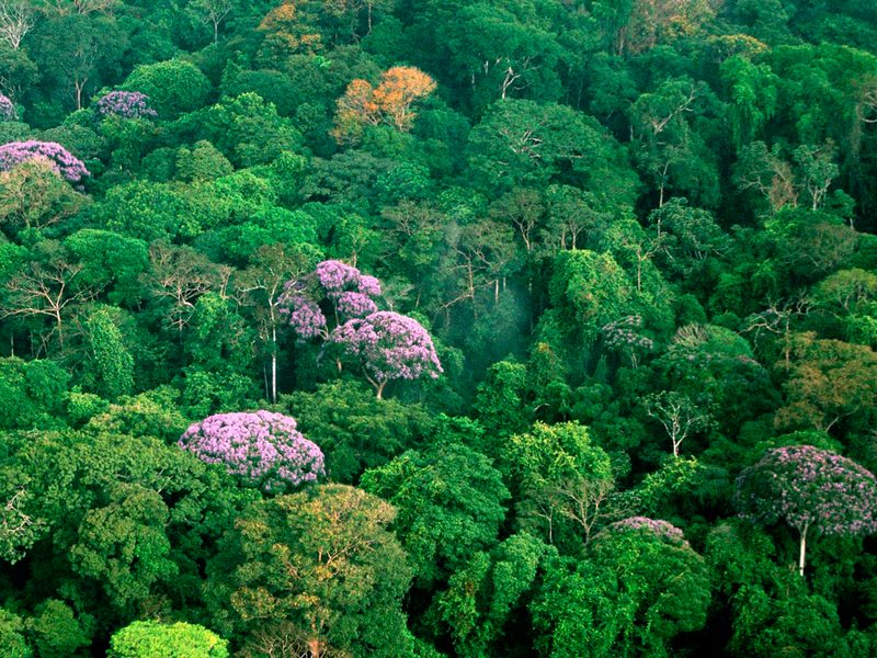 Educación para la conservación de la biodiversidad