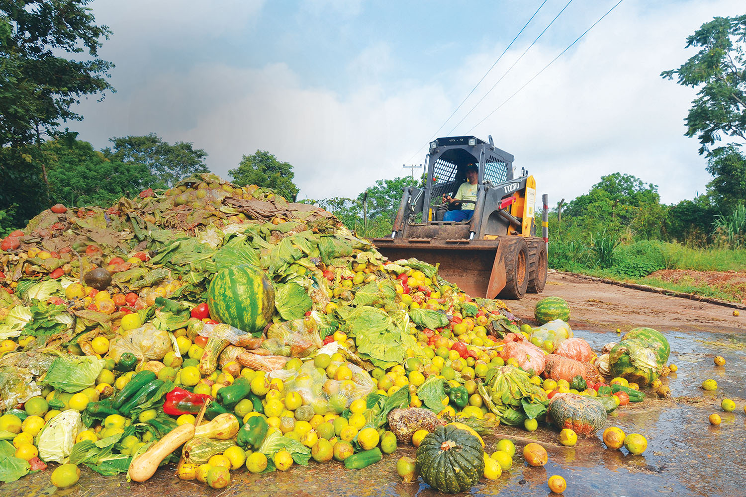 Fomentar el reciclaje de alimentos