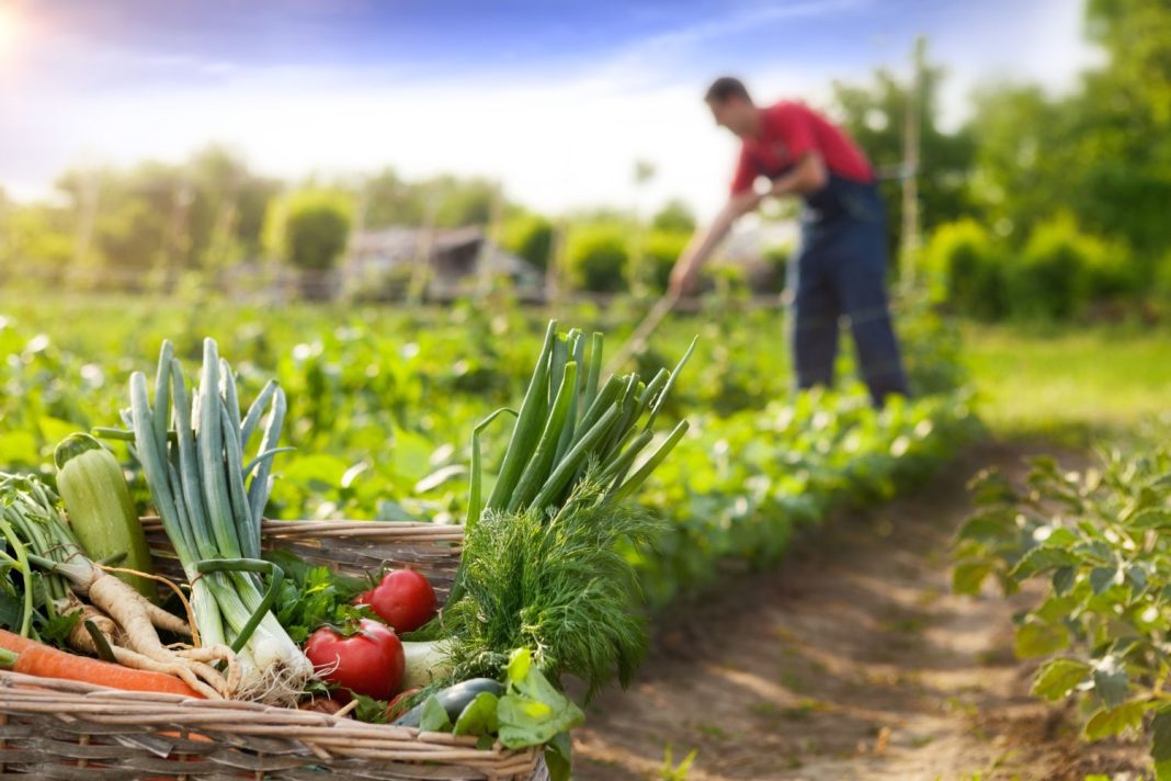 Los ministros europeos ‘se lavan las manos’ ante los agricultores y ganaderos españoles