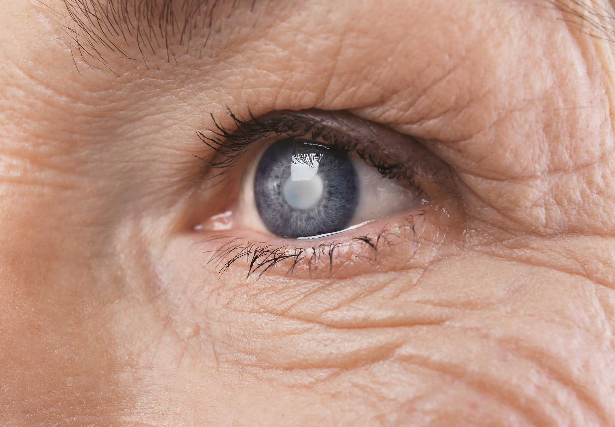 La importancia de la salud ocular