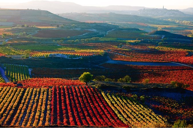 espana larioja vino gettyrf 134104074 i.lizarraga getty images Merca2.es