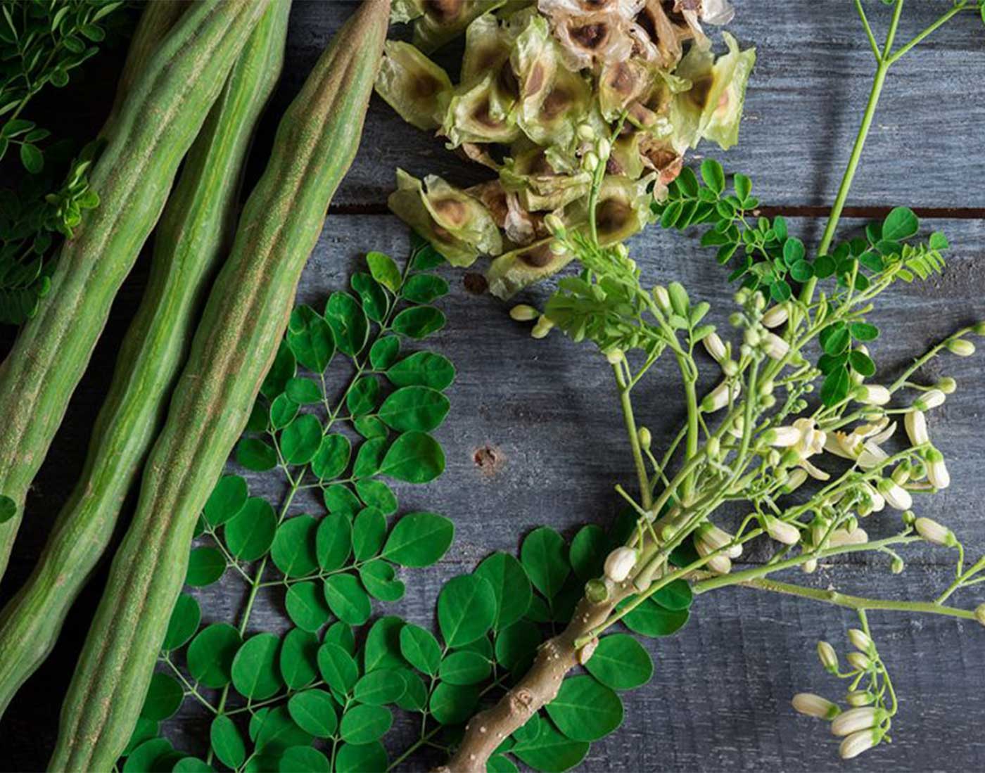 ¿Cómo incorporar la moringa en tu dieta?