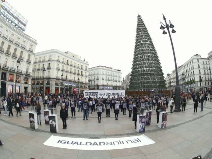 Activistas contra el maltrato animal reclaman en Sol que acaben los 