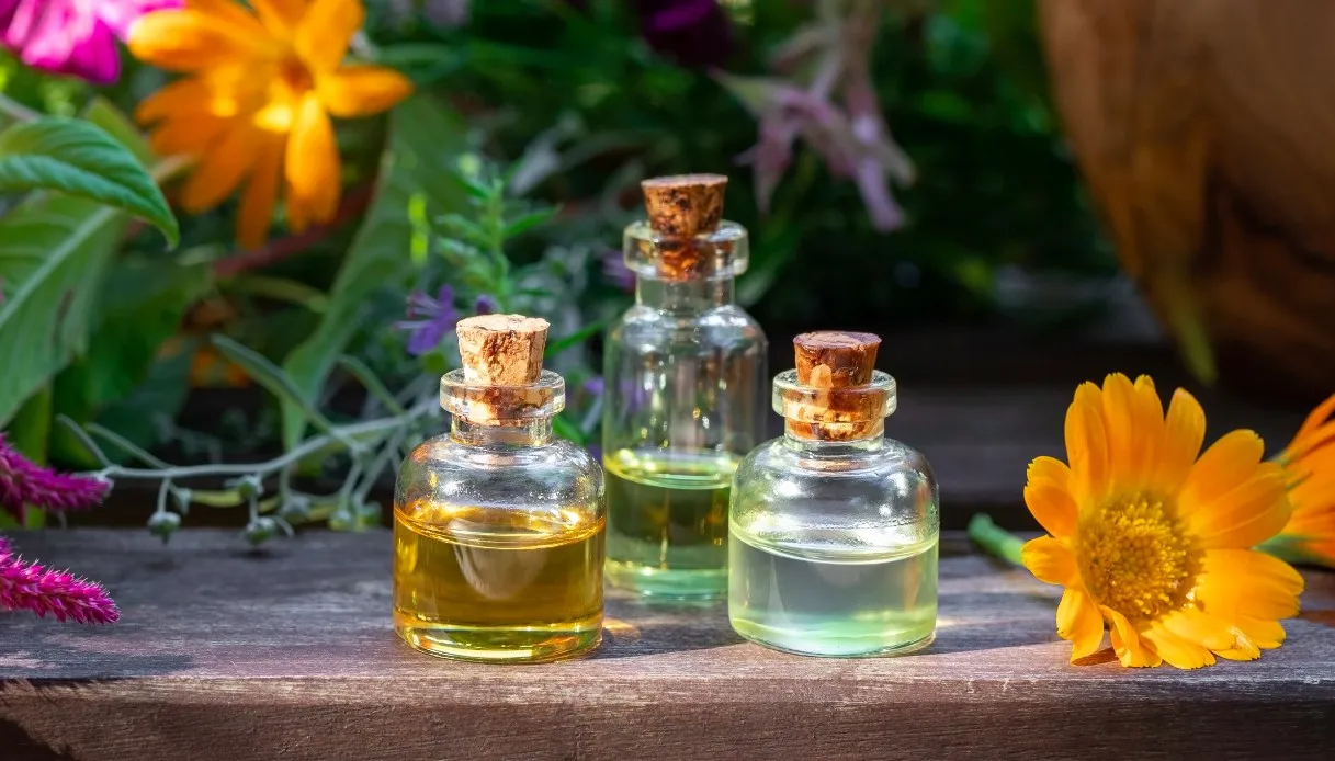 EL PODER DE LOS AROMAS: UNA INTRODUCCIÓN A LA AROMATERAPIA