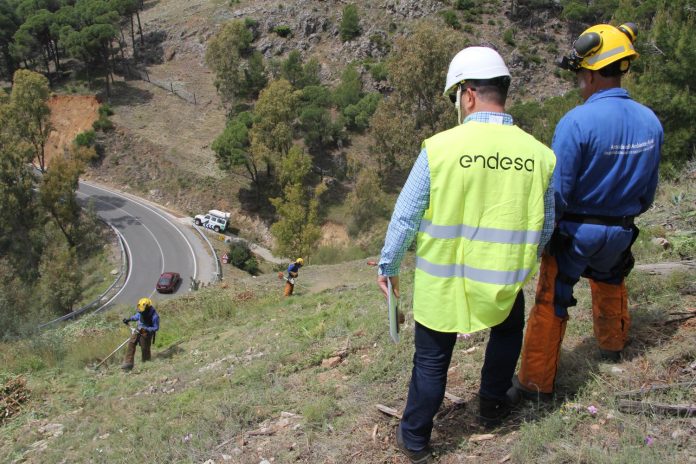 endesa trabajos poda y broza