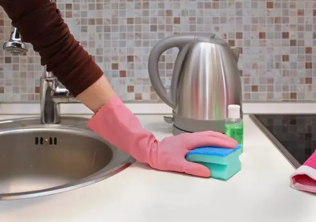 El estropajo de la cocina: la cosa con más bacterias en una casa  (soluciones)