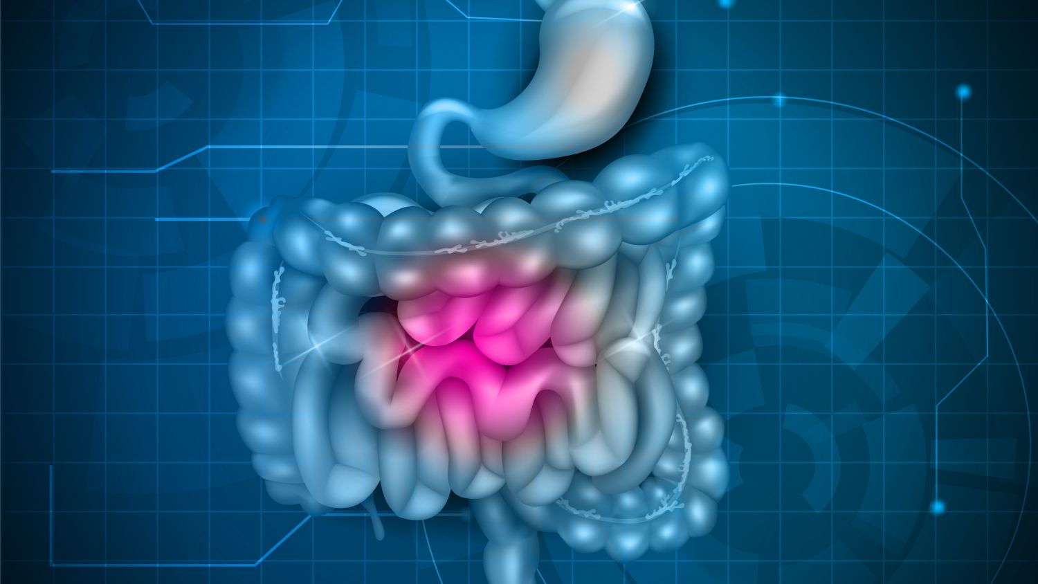 Los trucos para mejorar la salud intestinal con los que te sentirás con más energía y vitalidad que nunca