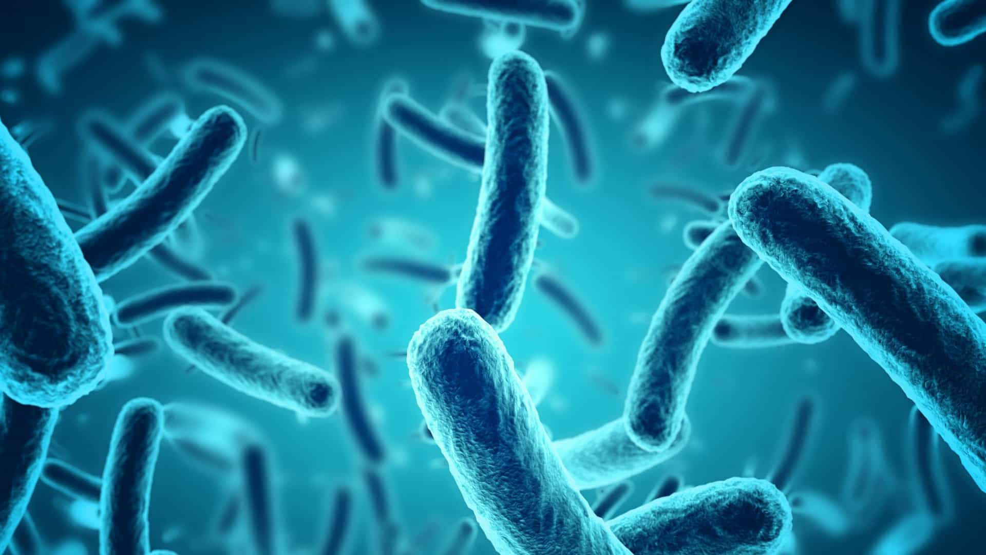 CLAVES PARA UNA MICROBIOTA SALUDABLE