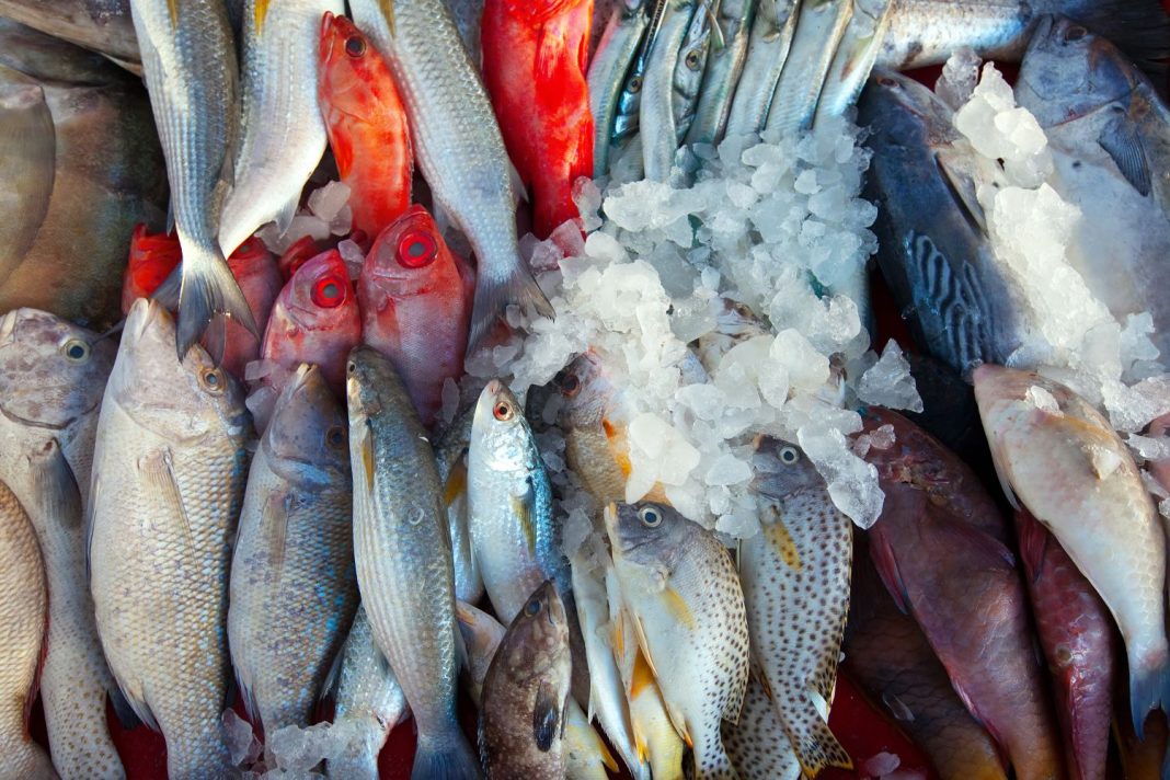 Estos son los tres pescados con más nutrientes del mercado por lo que son los más recomendables