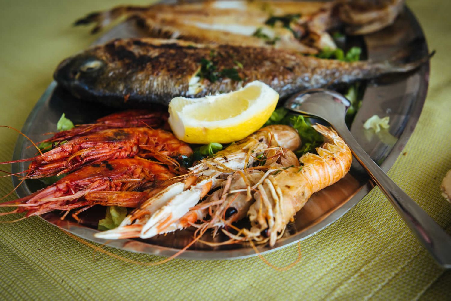 PESCADO, MARISCOS Y ACEITE DE OLIVA