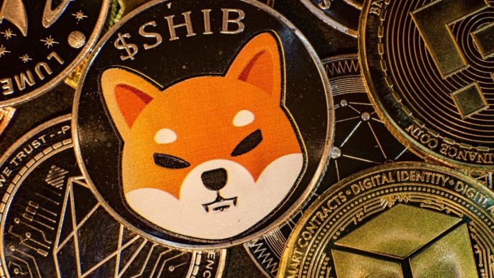 Shiba Inu pasa al siguiente nivel: Asegura $12 millones para impulsar su ecosistema