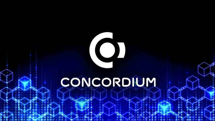 Aprovecha y Gana: Fase 3 de airdrop de Concordium en Bit2Me va a comenzar