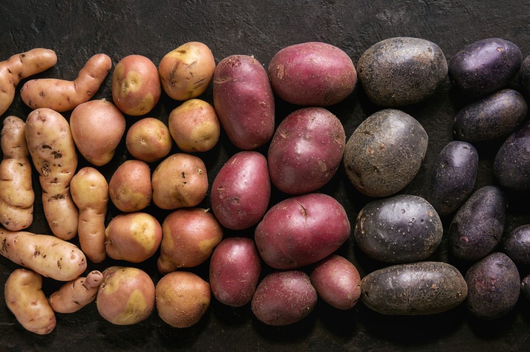 patatas