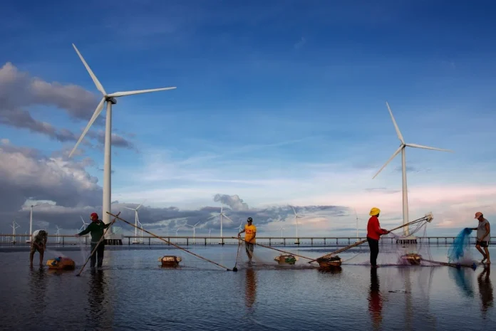 Hafesa referente energético