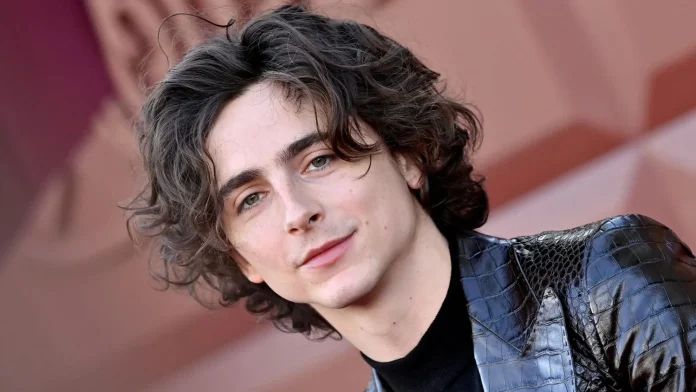 La gran desilusión de Timothée Chalamet en el cine que casi lo hace renunciar