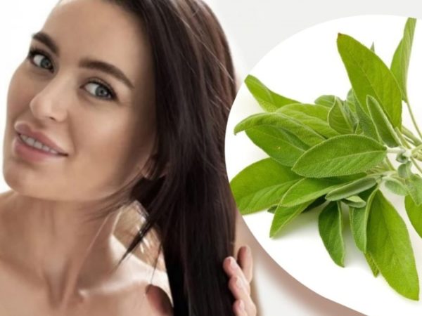 FORTALECE TU CABELLO CON LA SALVIA