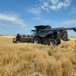 Agroseguro recuerda que son los últimos días para asegurar la cosecha de cereales de invierno frente al pedrisco